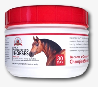 10 Premium Kynsa Chalk Markers 40 Free Chalkboard Labels, - Horse Probiotic, HD Png Download, Transparent PNG