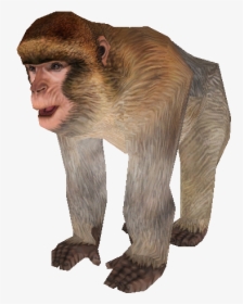 Download Zip Archive - Zoo Tycoon 2 Barbary Ape, HD Png Download, Transparent PNG