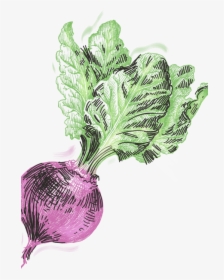 Chard, HD Png Download, Transparent PNG