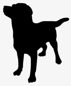 French Bulldog Great Dane Puppy Rottweiler How To Massage - Places To Massage Your Dog, HD Png Download, Transparent PNG