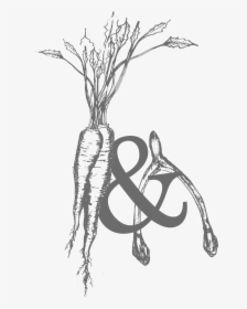 Root And Bone Logo, HD Png Download, Transparent PNG