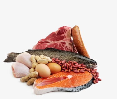 Seafood Meat Fish Protein - Meat And Fish Png, Transparent Png, Transparent PNG