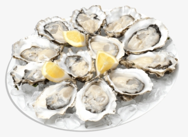 Oysters - Oysters Png, Transparent Png, Transparent PNG