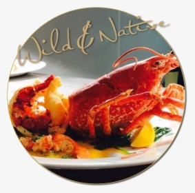 Seafood Restaurnt Wexford - Crab, HD Png Download, Transparent PNG