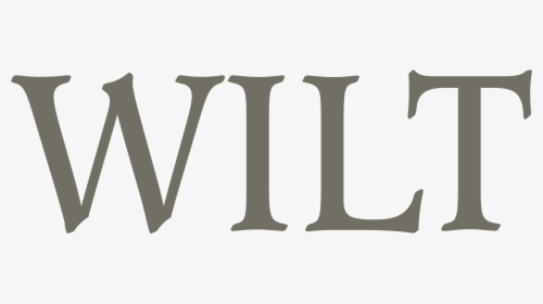 Calligraphy, HD Png Download, Transparent PNG