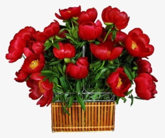 Corazones Buenas Noches Hermosa, HD Png Download, Transparent PNG