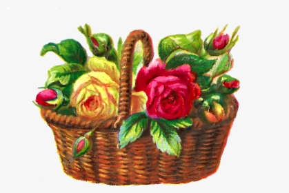 Flower Rose Illustration Basket Digital - Garden Roses, HD Png Download, Transparent PNG