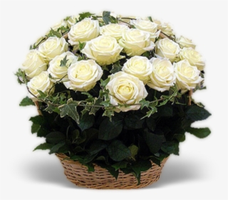 White Roses Basket - Открытки С Днем Рождения Белые Розы, HD Png Download, Transparent PNG