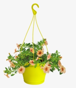 Hanging Flower Pot Clipart, HD Png Download, Transparent PNG