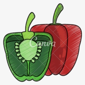 Chili Drawing Red Fruit - Illustration, HD Png Download, Transparent PNG
