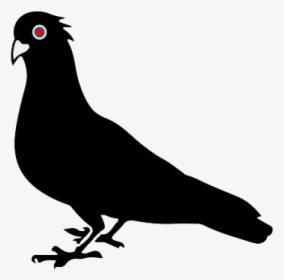 Pigeon Vector, HD Png Download, Transparent PNG