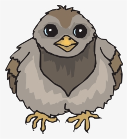 Baby Pigeon Cartoon, HD Png Download, Transparent PNG