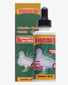 Transparent Pigeons Png - Rock Dove, Png Download, Transparent PNG
