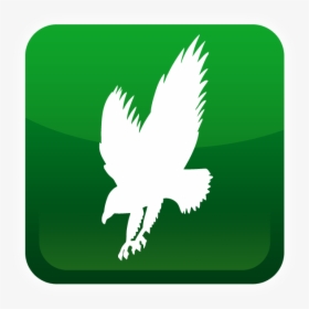 Green Eagle Wings Logo Transparent, HD Png Download, Transparent PNG