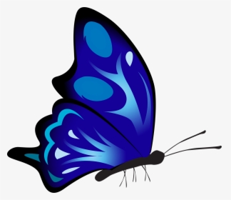 Butterfly Colorful Blue - Side Butterfly Drawing Coloured, HD Png Download, Transparent PNG