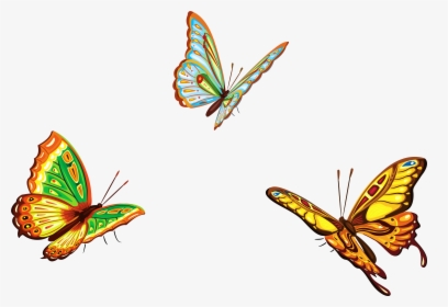 Three Butterflies Png Clipart Picture, Transparent Png, Transparent PNG