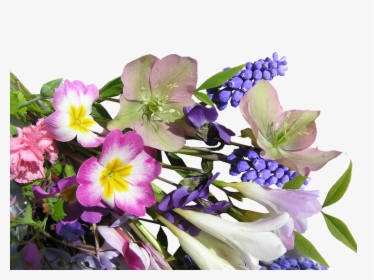 Flower Bunch Mixed Free Photo - Flower, HD Png Download, Transparent PNG