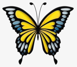 Clip Art Blue Butterfly, HD Png Download, Transparent PNG
