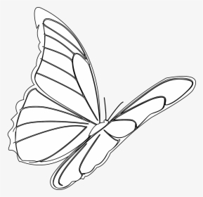 Butterfly, Flying, Insect, Monarch, Bug, Outline - Hinh Anh Con Buom Bay, HD Png Download, Transparent PNG