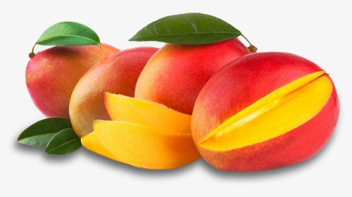Mango Tropical Fruit Trading Peru Sac Logo - Fruta Mangos Png, Transparent Png, Transparent PNG