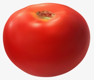 Transparent Vegetable Basket Clipart - Plum Tomato, HD Png Download, Transparent PNG