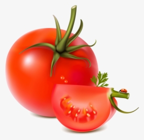Tomato Png Image - Tomato Vector Png, Transparent Png, Transparent PNG