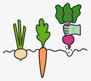 Log-in To View Your Order - Baby Carrot, HD Png Download, Transparent PNG