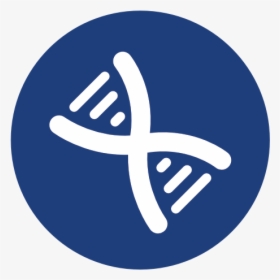 Icon Ca Dna C - Stem Cell Icon, HD Png Download, Transparent PNG