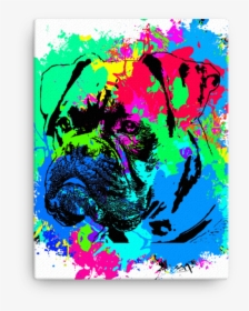 Boxer Colorful Splash Paint Canvas , Png Download - Illustration, Transparent Png, Transparent PNG