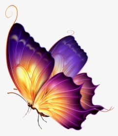 Best Butterfly Png Download - Butterfly Png For Editing, Transparent Png, Transparent PNG