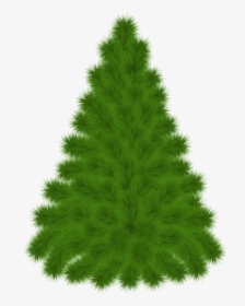 Pine Tree Clipart Png Transparent Png , Png Download - Pine Tree Clipart With A Transparent Background, Png Download, Transparent PNG
