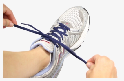 Mesh, HD Png Download, Transparent PNG