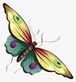 Butterfly With Background Cartoon, HD Png Download, Transparent PNG