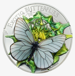 Aporia Crataegi Butterfly 3d Silver Coin 500 Togrog - 3d Mince Vyrocie, HD Png Download, Transparent PNG