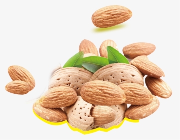 Almond Milk Nutrient Nutrition Fat Nuts - Hanh Nhan, HD Png Download, Transparent PNG