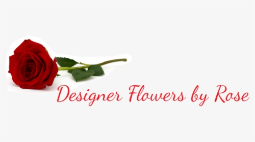 Designer Flowers By Rose - Garden Roses, HD Png Download, Transparent PNG