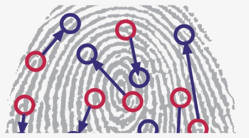 Fingerprint Clipart , Png Download - Store Fingerprint In Database, Transparent Png, Transparent PNG