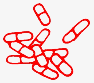 Pills Aesthetic Meds Medication Redfreetoedit - Pill Aesthetic Clip Art, HD Png Download, Transparent PNG