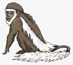 Indian Clipart Monkey - Colobus Monkey Clipart, HD Png Download, Transparent PNG
