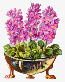 Flower Pot Plant Vintage Clipart Illustration Botanical - Flower Pot Png Vintage, Transparent Png, Transparent PNG