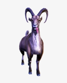 Feral Goat - Goat Png Goat Simulator, Transparent Png, Transparent PNG
