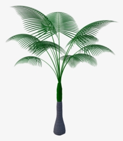 Tropical Plant Tree Green Nature Bloom Summer - Tropical Plant Pixabay Png, Transparent Png, Transparent PNG