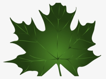 Maple Leaf Cliparts - Green Fall Leaves Clip Art, HD Png Download, Transparent PNG