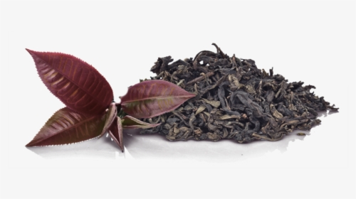 Purple Tea Leaves Png, Transparent Png, Transparent PNG