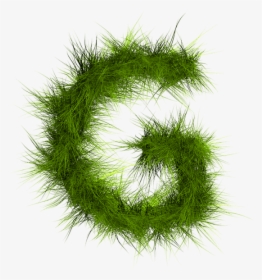 Grass Font, HD Png Download, Transparent PNG