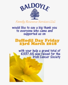 Daffodil Day 2018 Thank You - Herbaceous Plant, HD Png Download, Transparent PNG