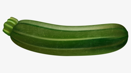 Zucchini Clipart Upo, HD Png Download, Transparent PNG
