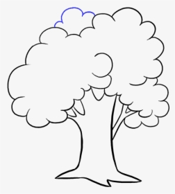 Clip Art Drawing Of A Tree - Drawing Picture Of Tree, HD Png Download, Transparent PNG