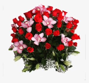 Transparent Background Guldasta Png , Png Download - Guldasta Png, Png Download, Transparent PNG