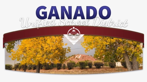 Ganado Unified School District - Tree, HD Png Download, Transparent PNG